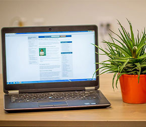 computer on desk with plants set to online degree program