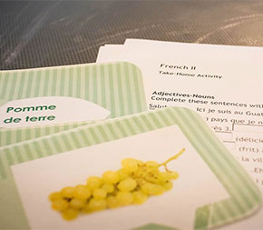 language teaching cards